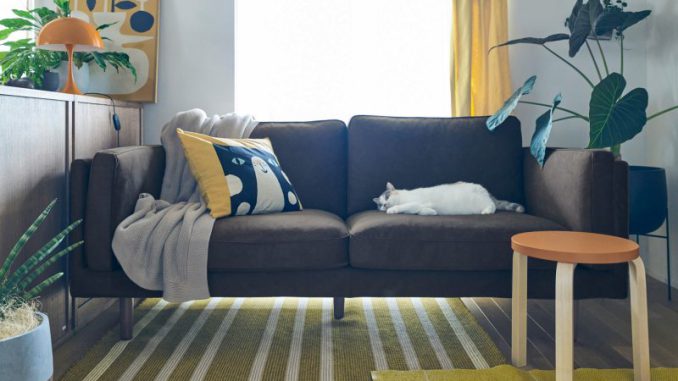 アクタス ペット対応認証生地「KENT」使用のソファを8/31に新発売 関連