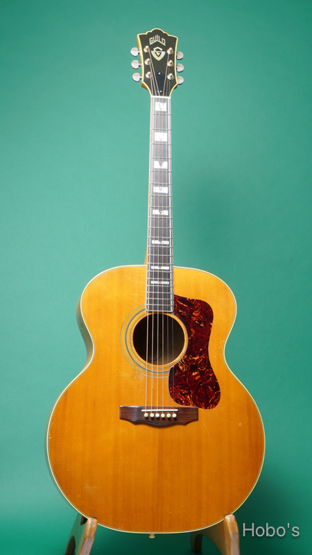 在庫情報/GUILD F-50 | Hobo's