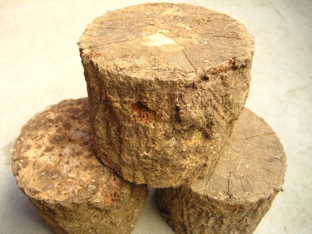 土埋めレイシ材(産卵木)の販売