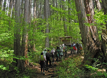 23Otaki Forest Railway・26Akasawa Natural Recreational Forest