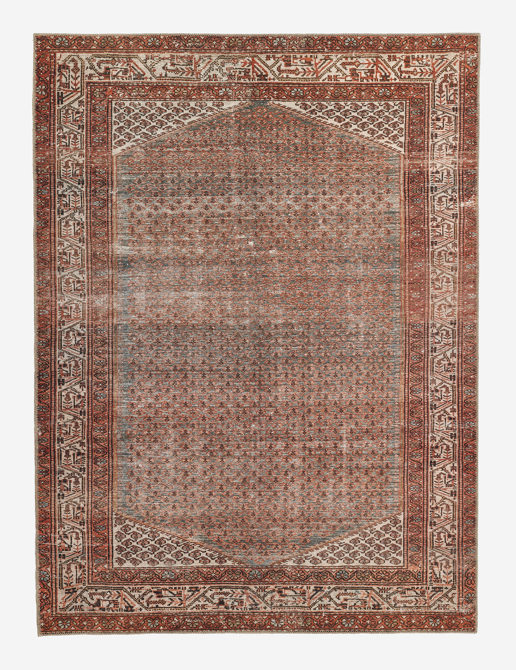 ARI-09_01_1024x.jpg?v=1724880441