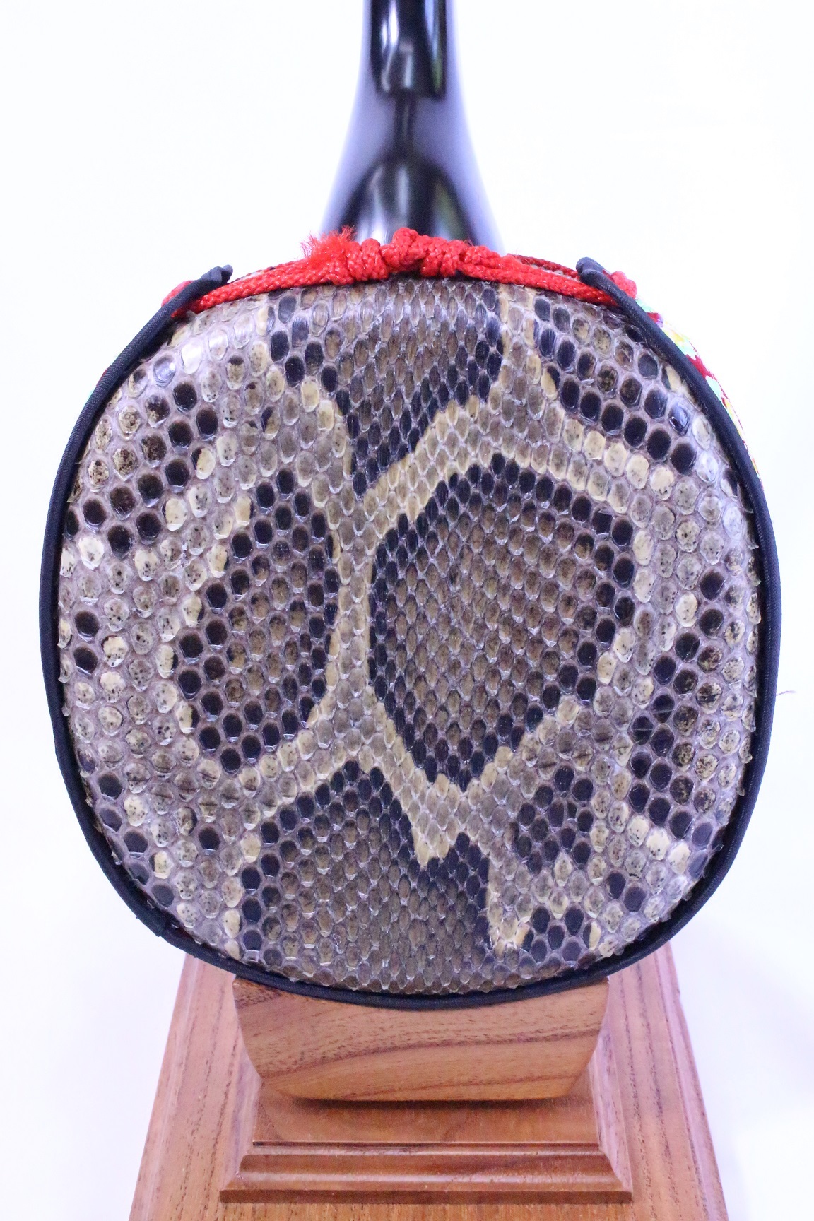 蛇皮一枚張り三線(両面本皮タイプ)【初心者向け8点セット】 三線