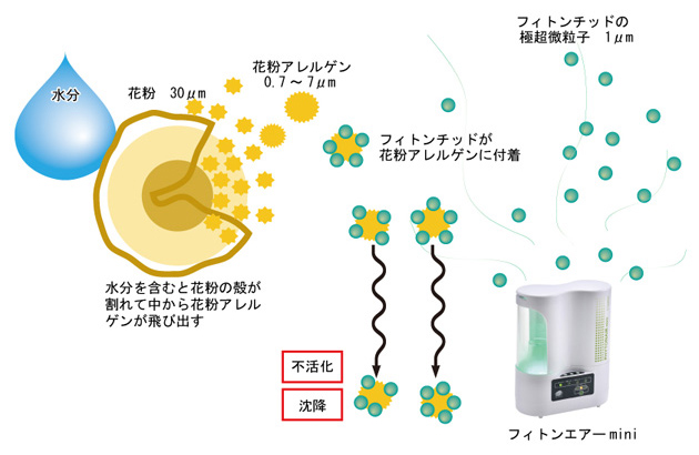 フィトンエアーミニスターターパック｜フィトンチッド本舗