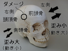 頭蓋仙骨治療の説明Ⅰ：物理的側面