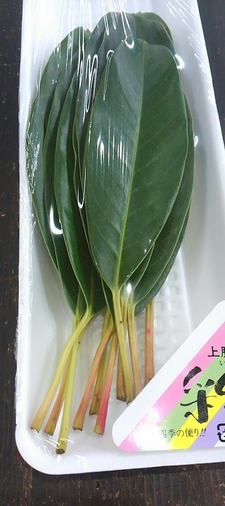 ゆずり葉 徳島産 | 株式会社 新紙浅