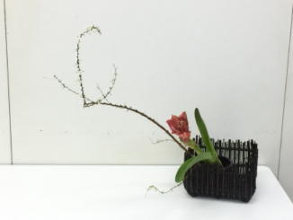 生花写真 - 新規サイト006