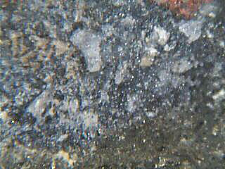 ﾍﾟｯﾂ鉱 Petzite