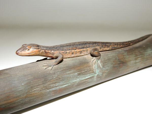 横行千里 宮本理三郎作 蟹 一対 ブロンズ 置物 箱付き 横行千里 宮本理