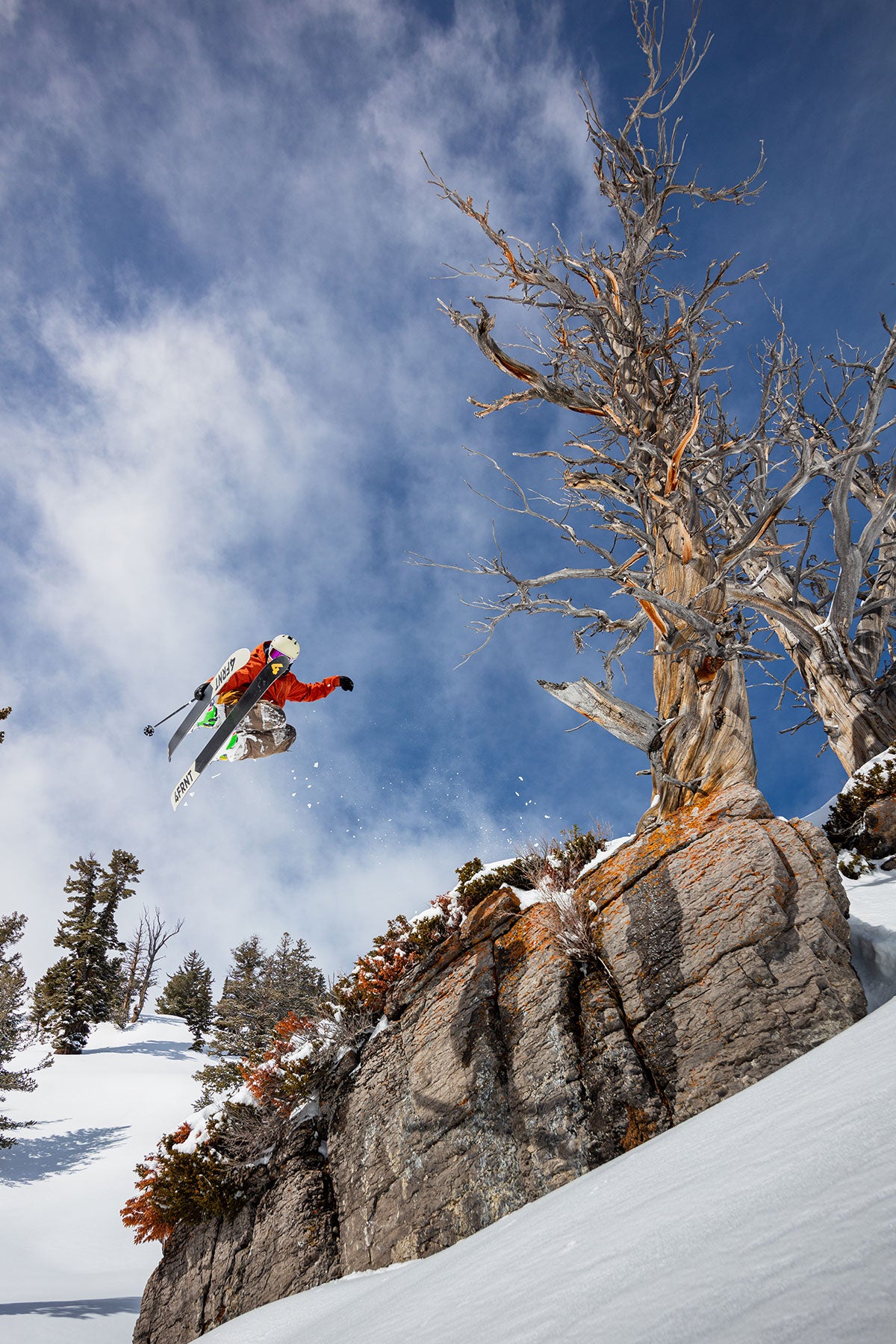 INTHAYNE - Freeride Powder Ski | 4FRNT Online Ski Shop – 4FRNT Skis