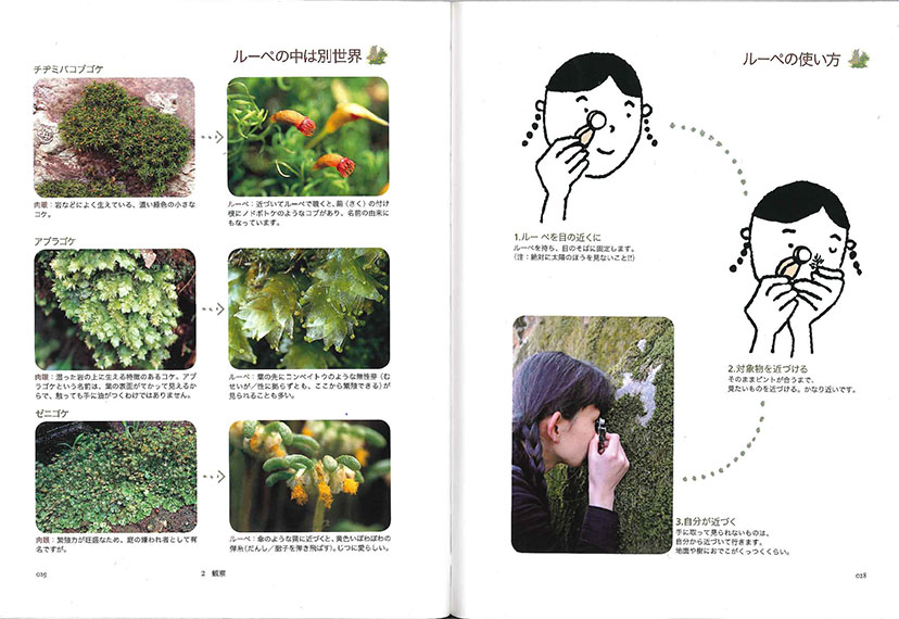 1614夜 『苔とあるく』 田中美穂 − 松岡正剛の千夜千冊