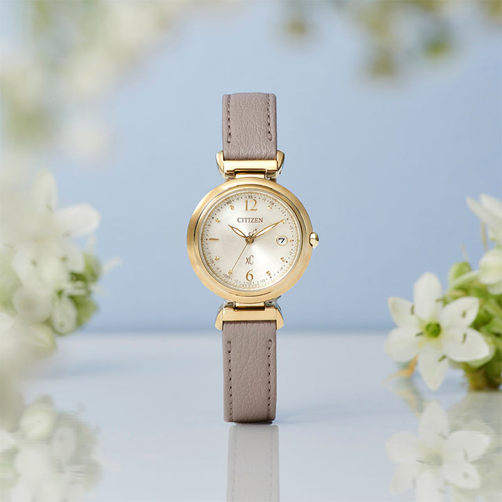 173716-5_720x.jpg?v=1756689082