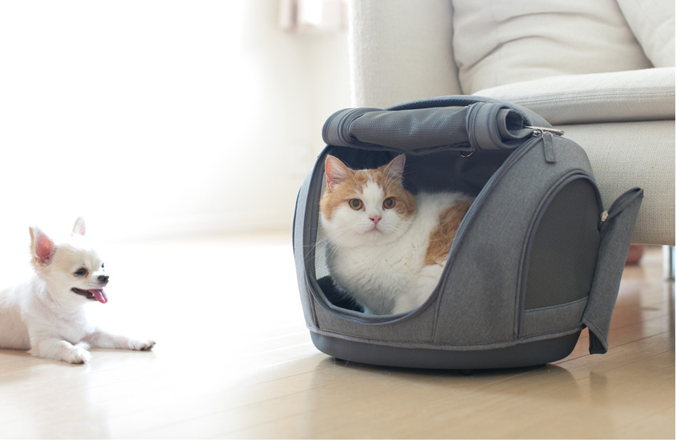 Pet Carrier muna FL（ペットキャリアミュナFL）｜OPPO （オッポ） 犬