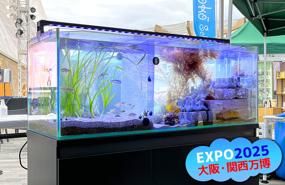 関西エアポート株式会社様に短期レンタル！大阪・関西万博の120cm水槽