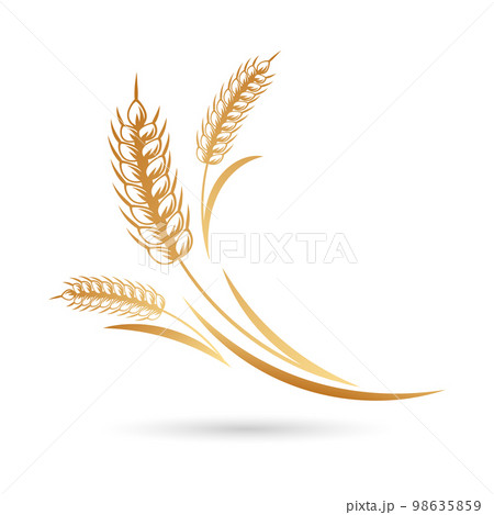 Spikelets of wheat, rye, barley. Golden icon,のイラスト素材