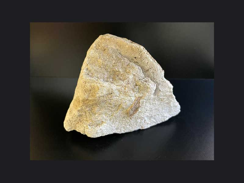 7番 付着体北投石1140g 北投石・源泉希釈水・販売商品