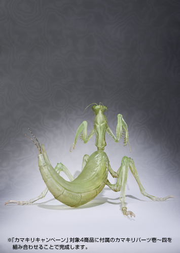 フィギュアーツZERO 範馬 刃牙 | 魂ウェブ