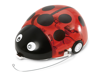 てんとうむし6点セット てんとうむし6点セット てんとうむし6点セット