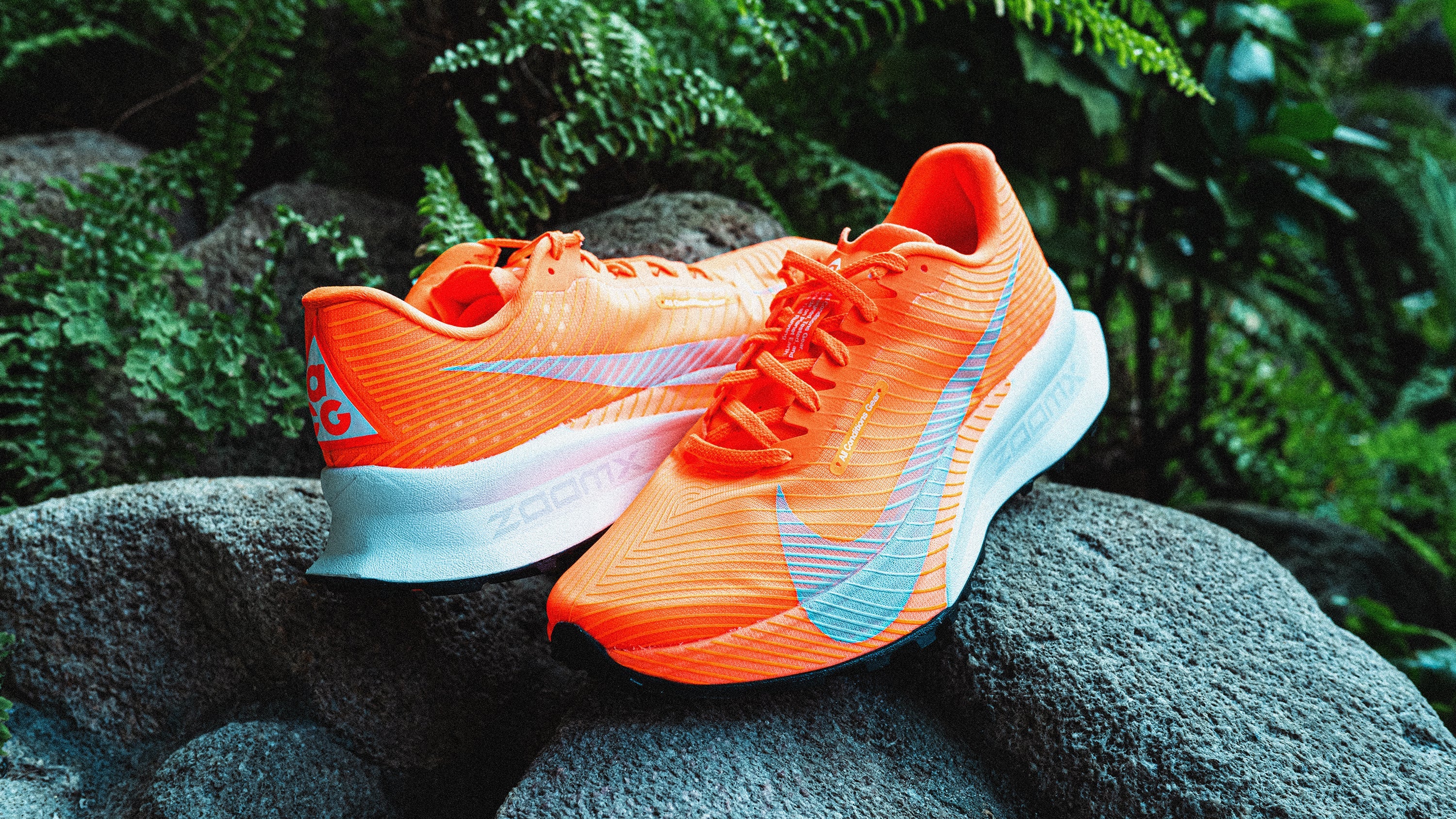 NIKE ACG (ナイキ エーシージー) | スノーボード・スケートボードの