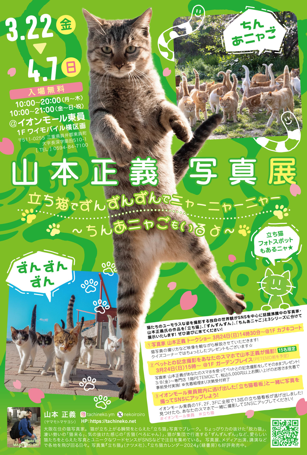 立ち猫でズンズンズンでニャーニャーニャー〜ちんあニャごもいるよ〜in