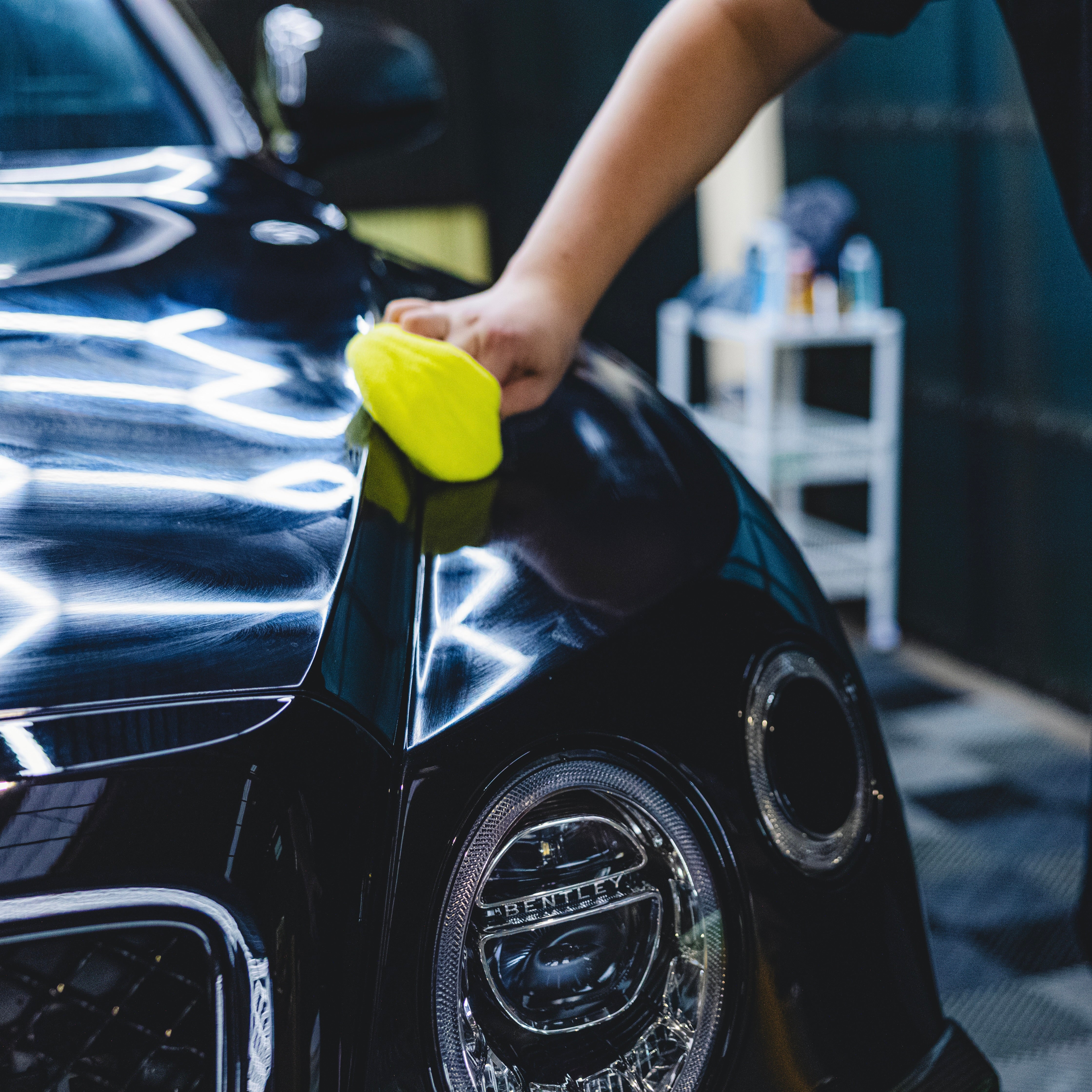 TAILBACK LAPEL - Ceramic Base テールバック ラペル セラミック