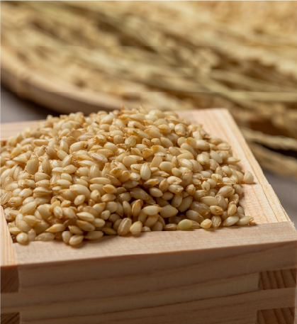 Products ｜ 黒い玄米糀あまざけ – 体質改善推進協会