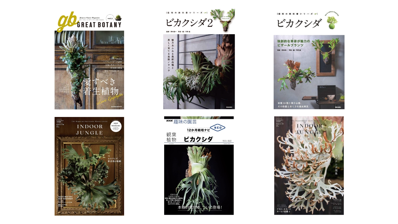 ビカクシダの魅力を深掘り！初心者から上級者までおすすめ書籍10選