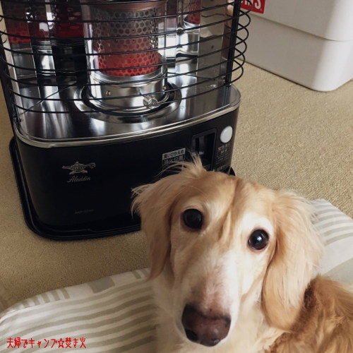 Aladdin アラジン 反射式石油ストーブ AKP-S248 アラジン（Aladdin） AKP-S248 石油ストーブ [木造7畳まで