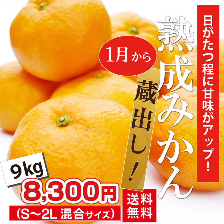 蔵出し！熟成みかん（温州みかん） 9kg
