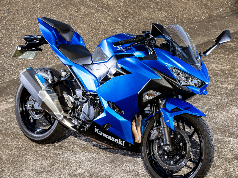 GOLEM CONVEX TANKPAD for Ninja250/400 | TEOGONIA