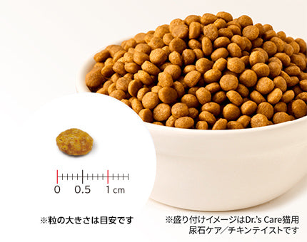 ドクターズケア】〈猫用〉キドニーケア プラス（可溶性繊維）