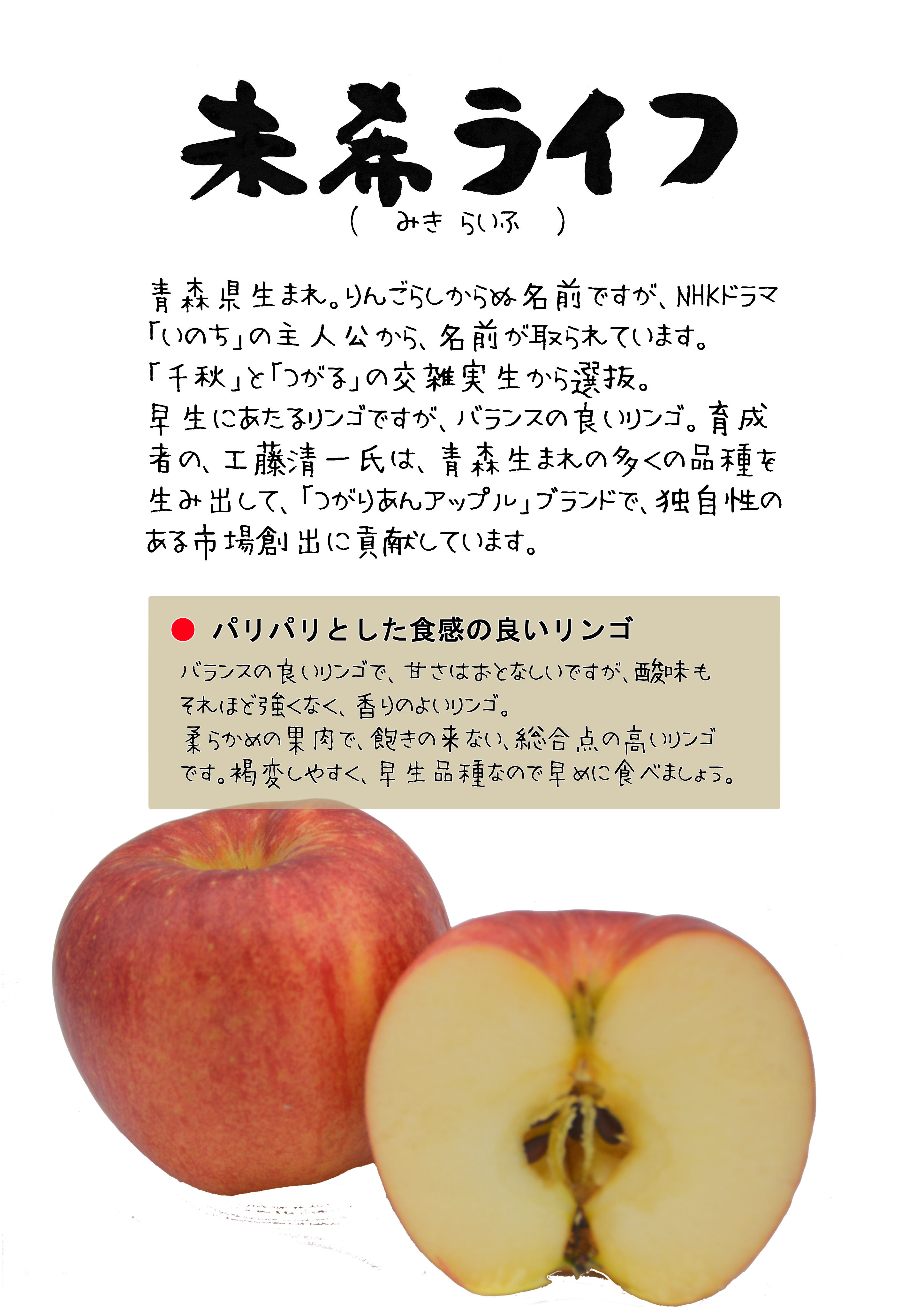 りんごの実 さまのオーダーページです！ りんご様オーダーページ