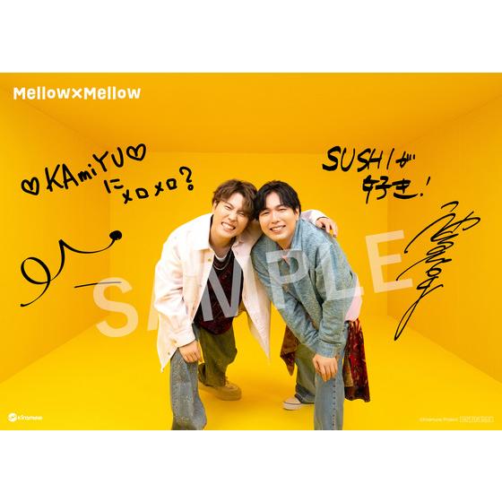Mellow×Mellow【豪華盤】/KAmiYU | A-on STORE