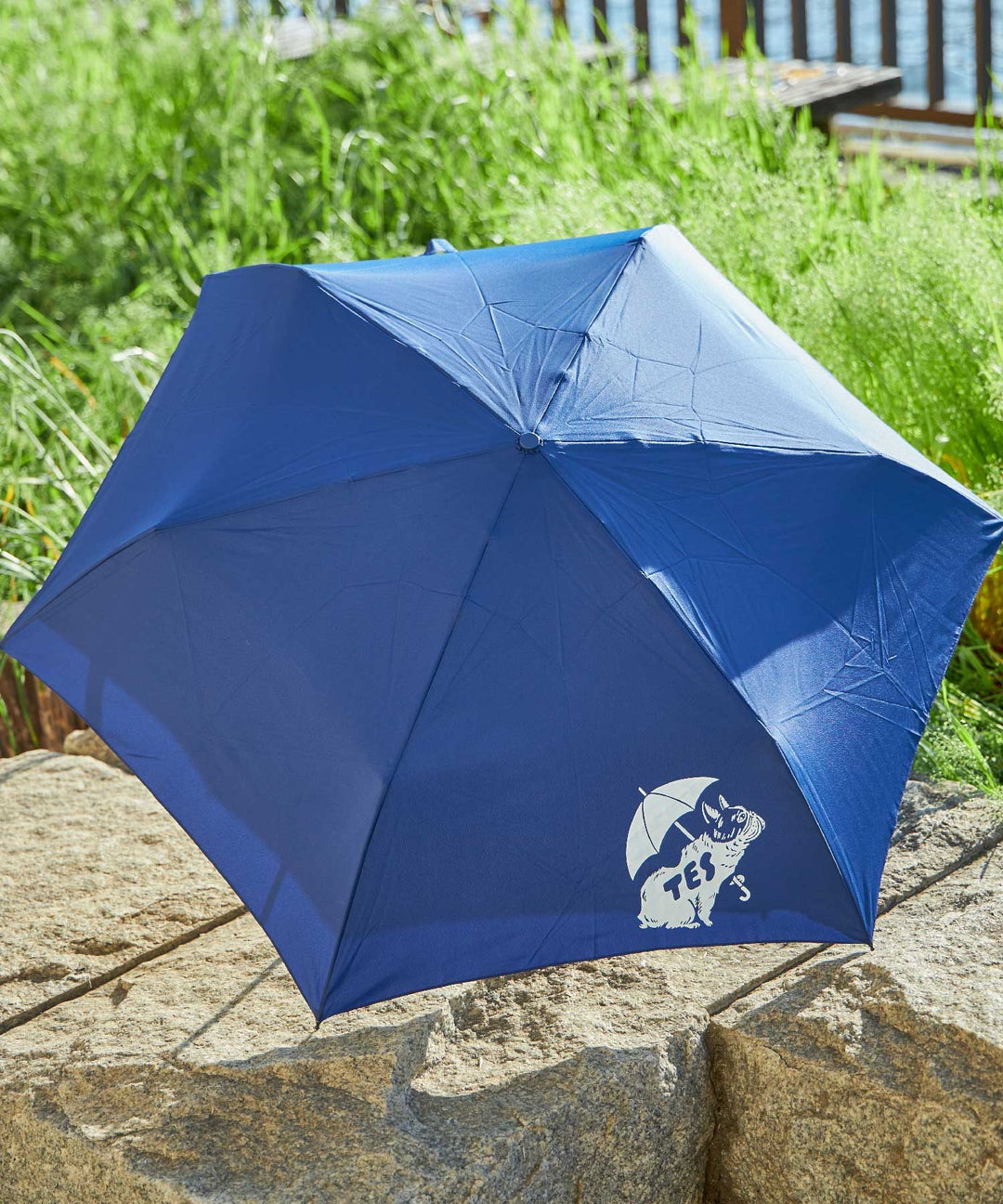 WEB / FLAG SHOP限定】RE:PET UMBRELLA / 晴雨兼用折りたたみ傘 – TES