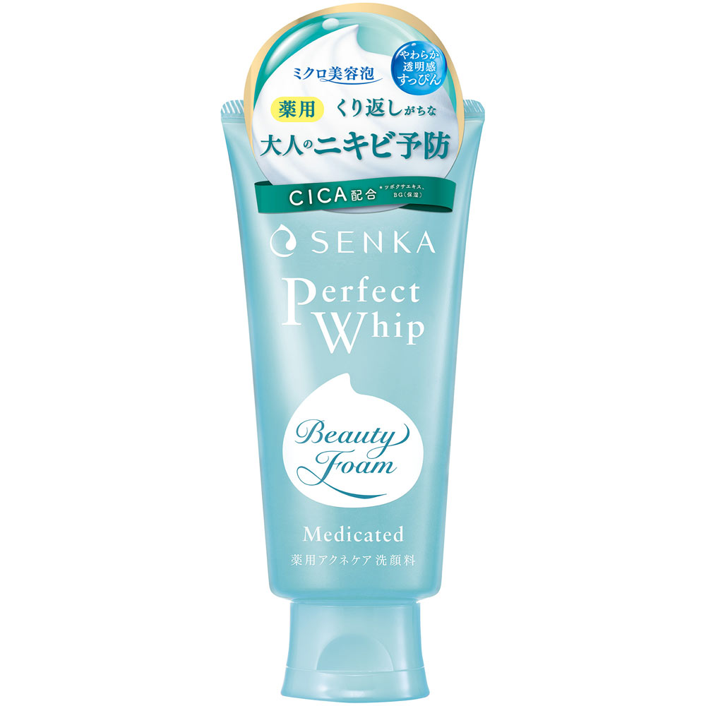 洗顔専科 パーフェクトホイップ アクネケア 120g 【医薬部外品