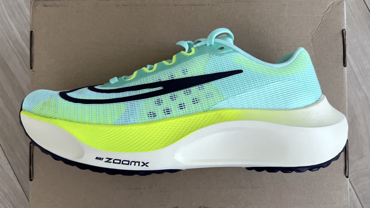 レビュー】Asics ズームフライ 5：Nikeの隠れ最強シューズ｜ともらん！