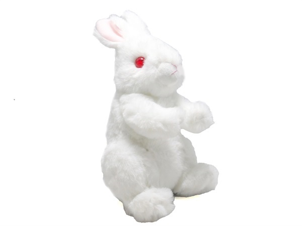 商品詳細ページ