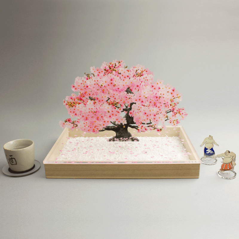 bonsai Sサイズ 桜 | toumei online store