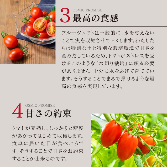 OSMIC FIRST QUEEN トマトジュース – 東和バイオ オフィシャルストア