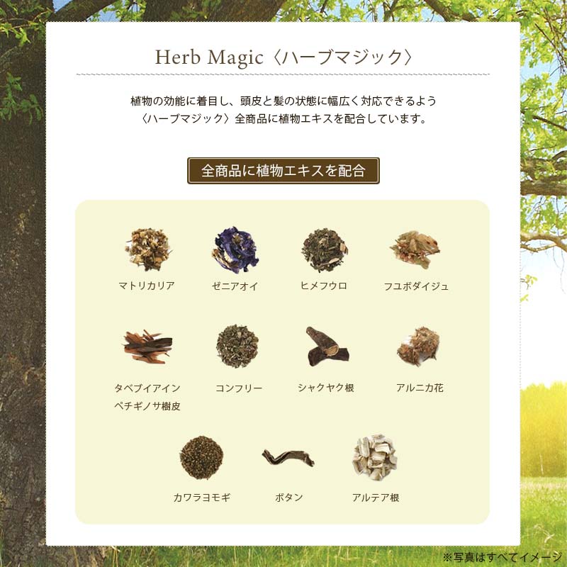 楽天市場】【3/1限定！抽選で100％ポイントバック】〈5〉【送料無料