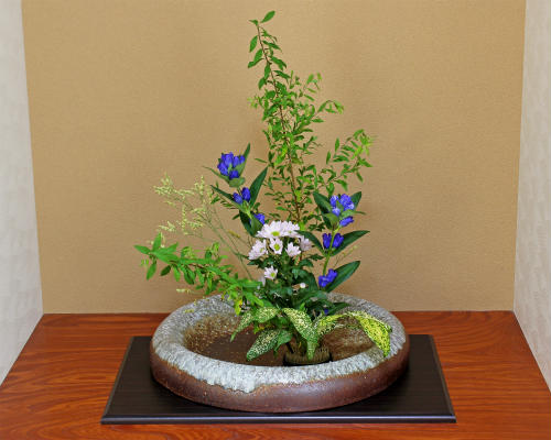 楽天市場】信楽焼 水盤 窯変円盤 15号 生け花 花器 池坊 小原流 創作