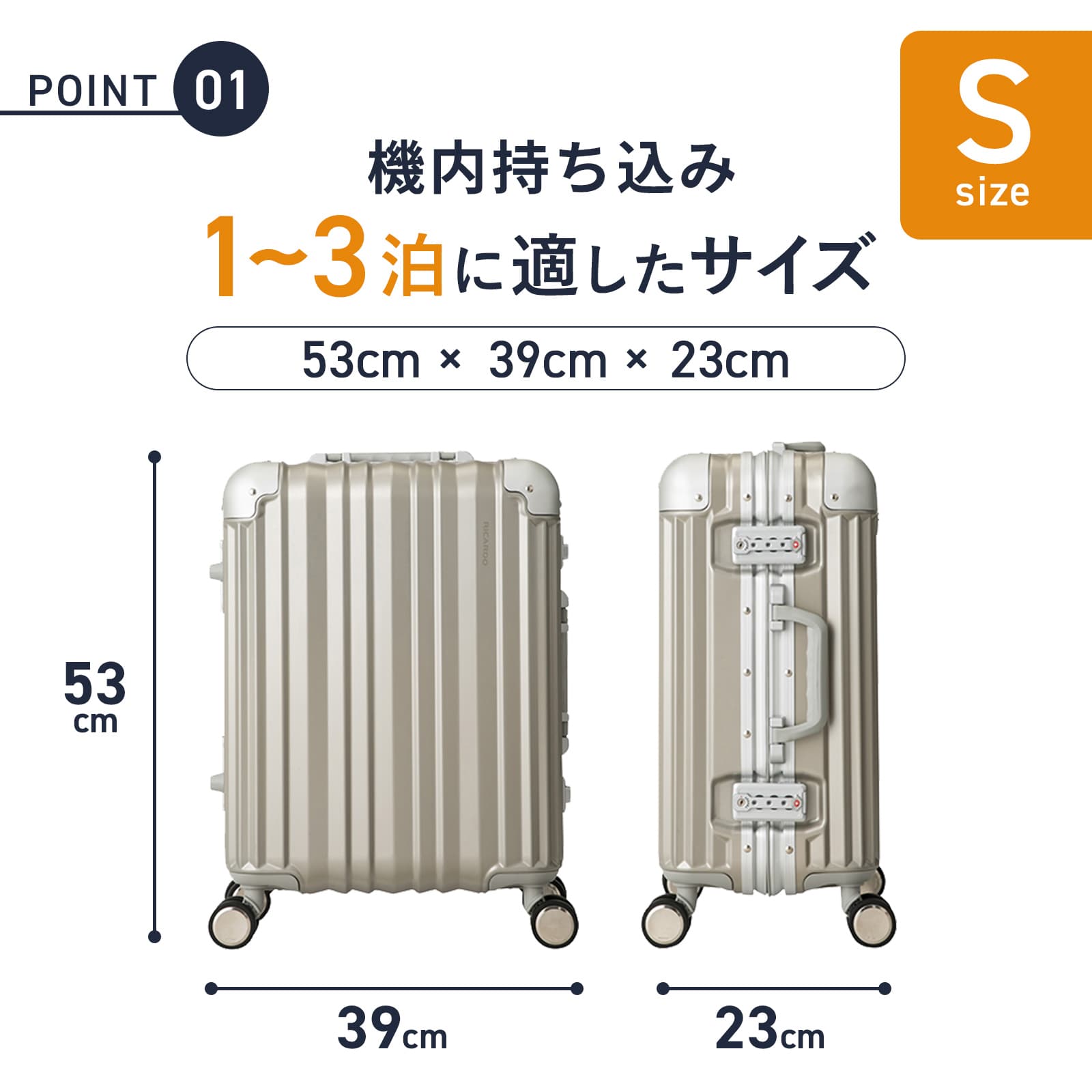 Ricard Aileron Vault スーツケース SMサイズ rimowa Ricard Aileron