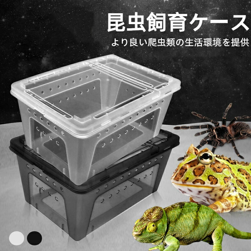 楽天市場】爬虫類 飼育ケースの通販