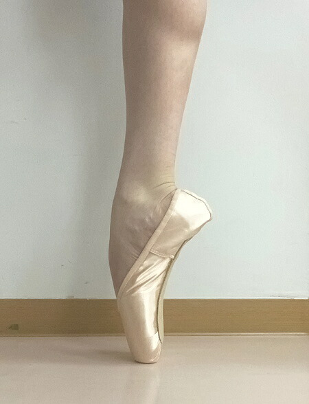 楽天市場】グリシコ トウシューズ 3007 (SS-PRO) 2007の改良版 最新