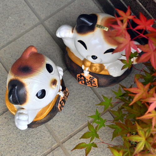 楽天市場】幸せ招き猫 2つセット 阿吽 置物 招き猫 幸運を呼ぶ猫 開運