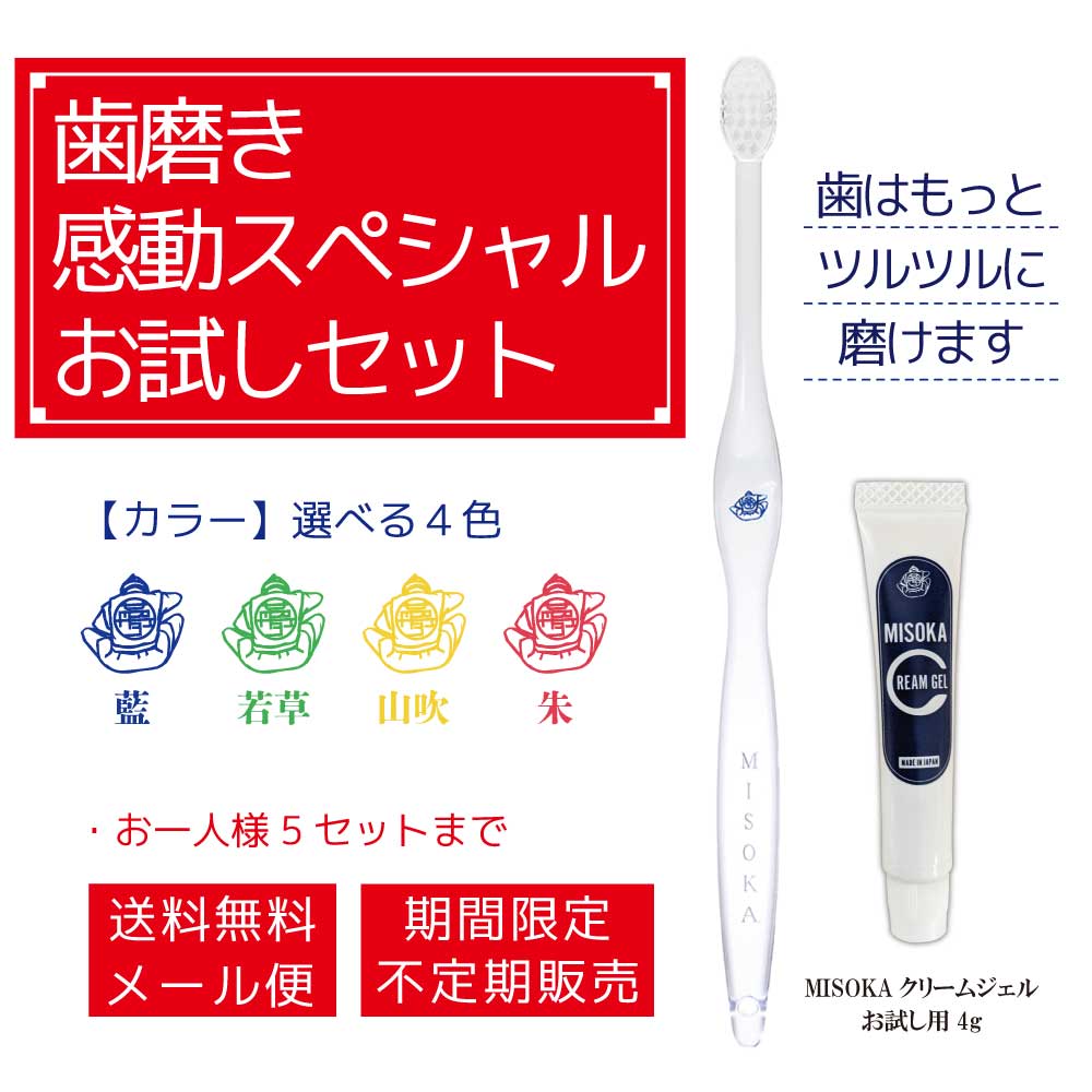 楽天市場】【 1,000円ポッキリ】歯ブラシ お試し お得 期間限定