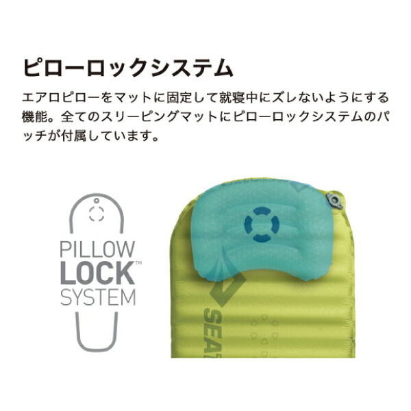 楽天市場】【1日は！枚数限定 最大1,000円OFFクーポン】シートゥ