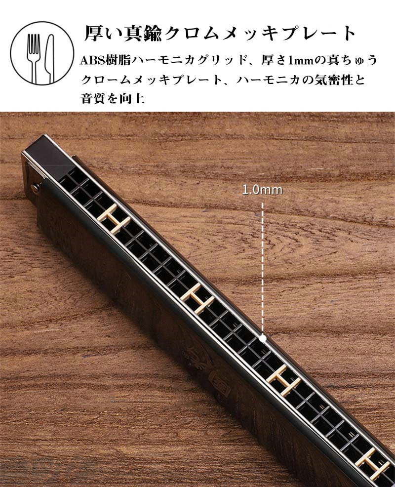楽天市場】ハーモニカ 入門用ハーモニカ C調 24穴 複音 ハーモニカ