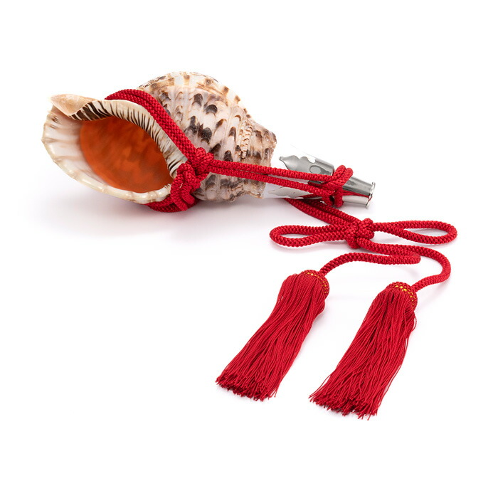 法螺貝 約35㎝ 木製歌口,赤紐付 新品 MH-443 法螺貝 約35㎝ 木製歌口