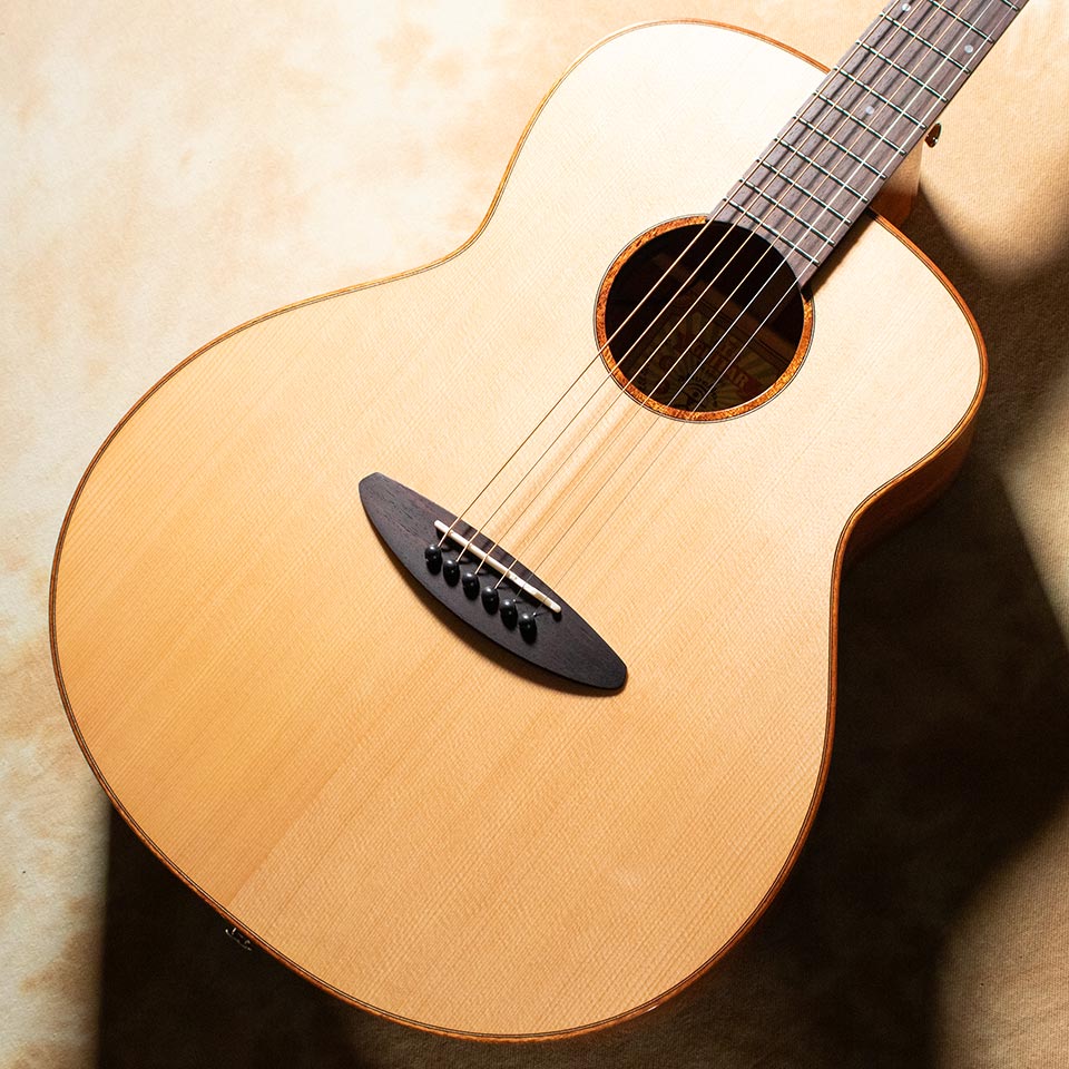 楽天市場】aNueNue/aNN-LF23E : 宮地楽器 ららぽーと立川立飛店