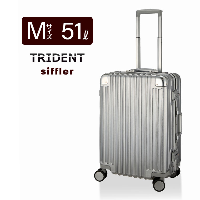 新品未使用】シルバー アルミニウム キャリーケース 中型